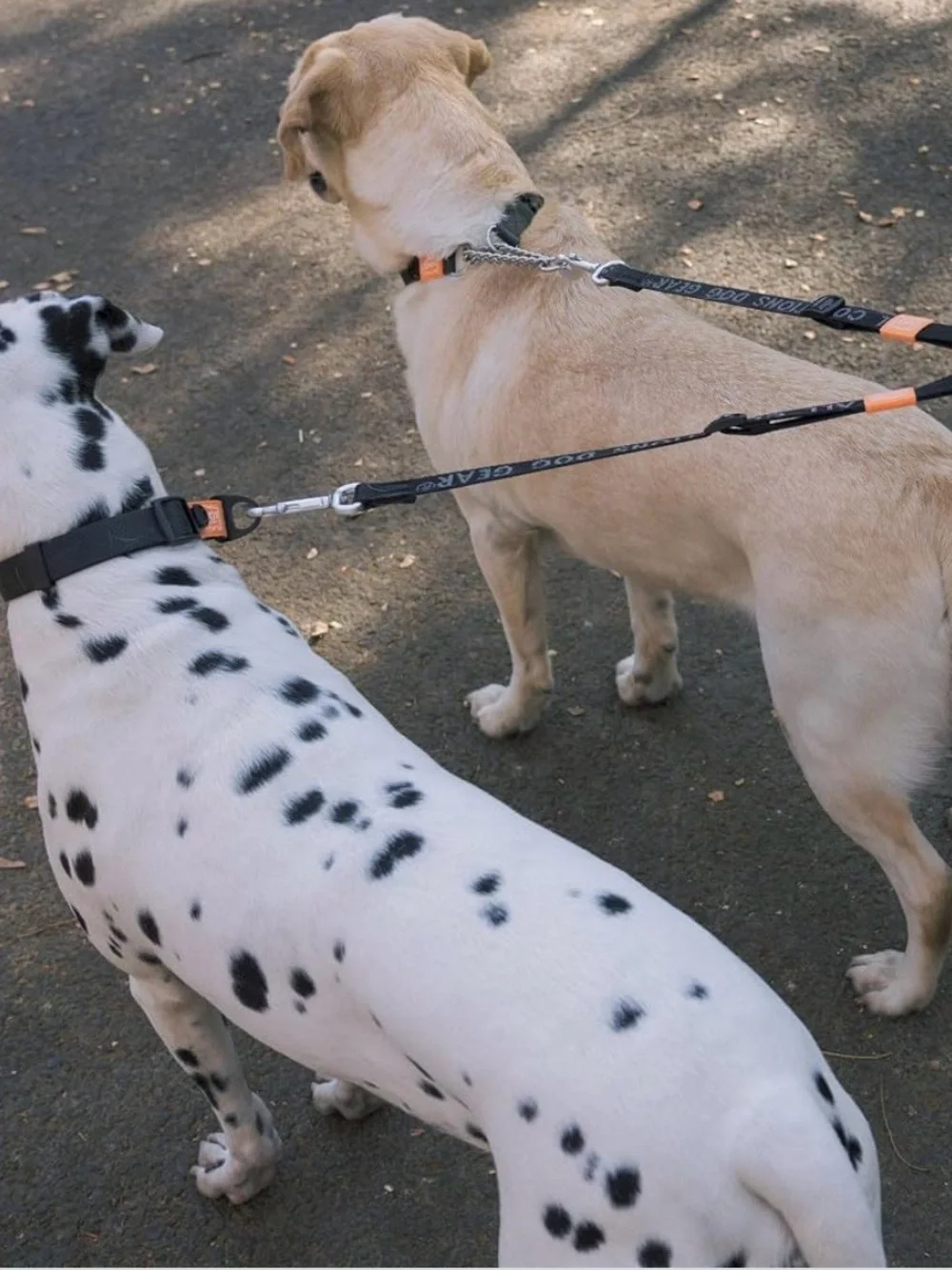 HOWGO Double Dog Leash, Tangle-Free 360 Swivel (Black, Pro M-L Splitter) Individ